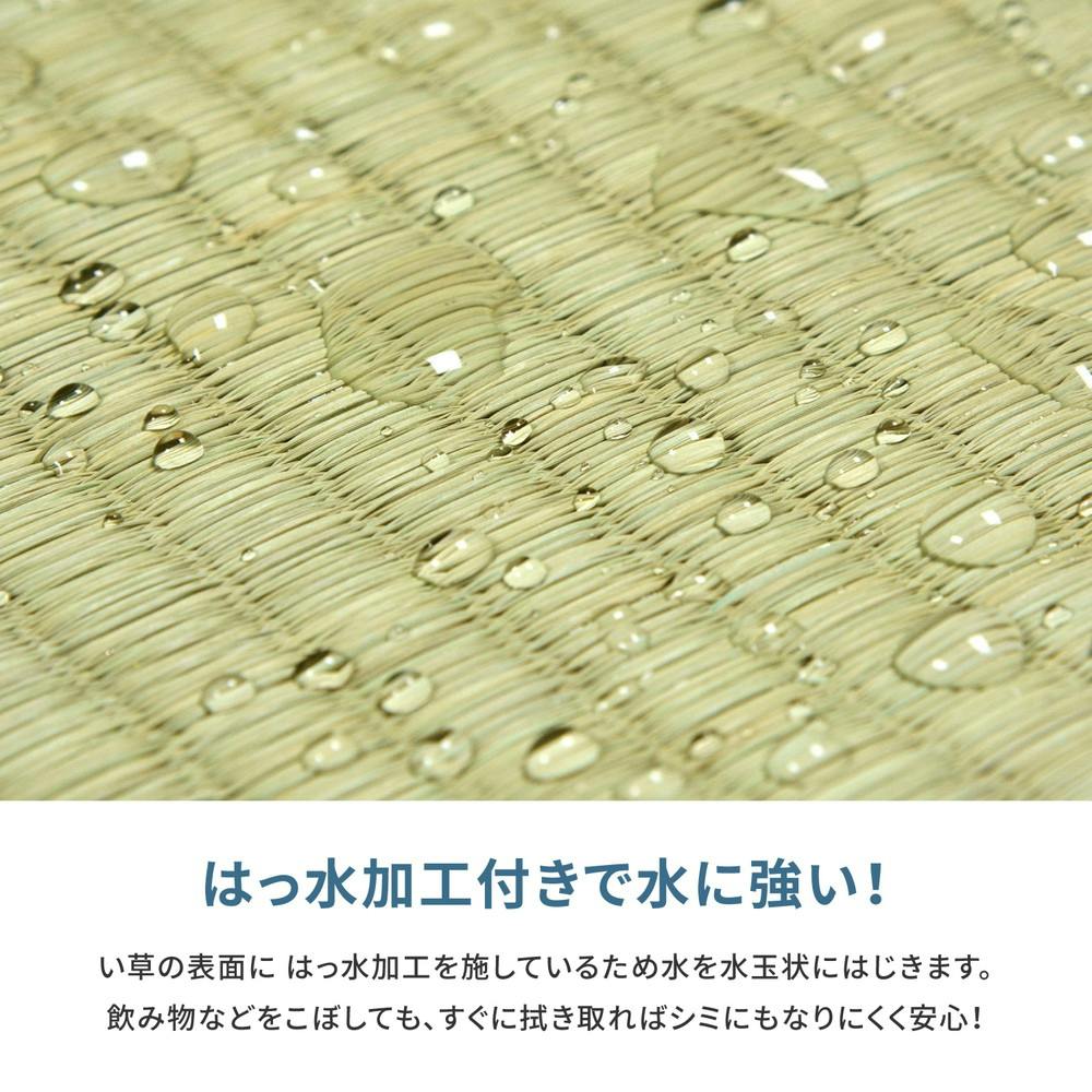 在庫即納 フリーカット裏付き い草カーペット みすず 本間 6帖（286