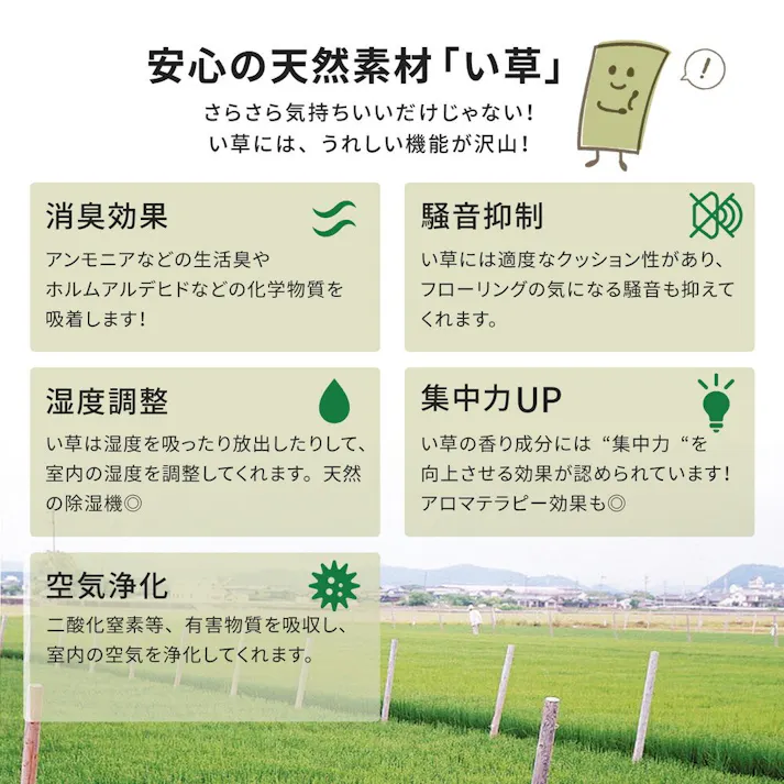 HAGIHARA おもてなし い草カーペット 雅(みやび) 本間1畳95.5×191 158012400【別送品】
