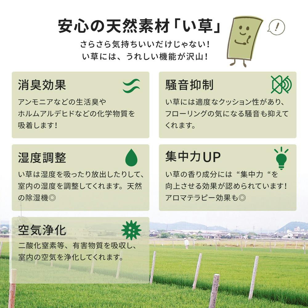 萩原 HAGIHARA おもてなし い草カーペット 雅(みやび) 本間10畳382×477