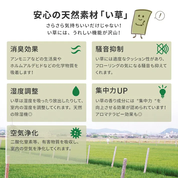 萩原 HAGIHARA 国産い草カーペット 天草 団地間10畳425×340- 159067690【別送品】