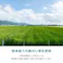 萩原 HAGIHARA 国産い草カーペット 天草 36間2畳182×182- 159058720【別送品】
