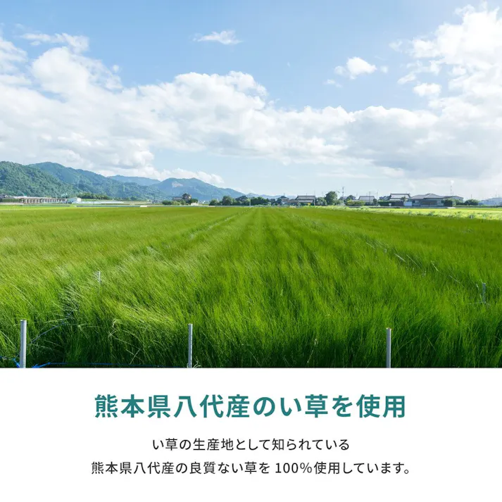 萩原 HAGIHARA 国産い草カーペット 天草 36間8畳364×364- 159058780【別送品】