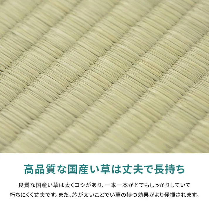 萩原 HAGIHARA 国産い草カーペット 天草 36間8畳364×364- 159058780【別送品】