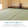 萩原 HAGIHARA 国産い草カーペット 天草 36間10畳364×455- 159058790【別送品】