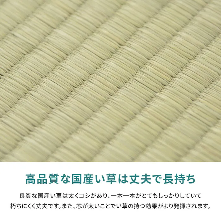萩原 HAGIHARA 国産い草カーペット 天草 本間6畳286×382- 159058860【別送品】