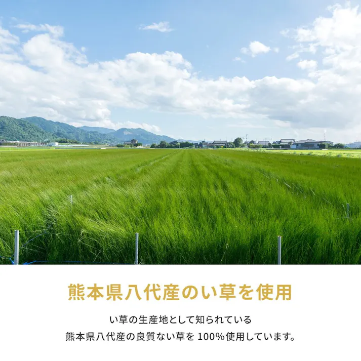 萩原 HAGIHARA 国産い草カーペット 琥珀 36間2畳182×182- 158002820【別送品】