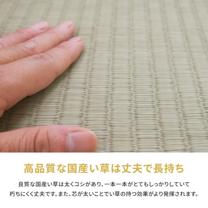 萩原 HAGIHARA 国産い草カーペット 琥珀 36間8畳364×364- 158002880【別送品】