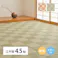 萩原 HAGIHARA 洗えるい草風カーペット 倉間 江戸間4.5畳 抗菌機能付き261×261グリーン 81947345【別送品】