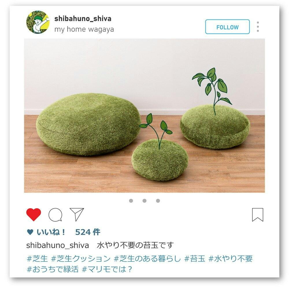 萩原 HAGIHARA リアル芝生風生地のもちもちクッション シーヴァ M