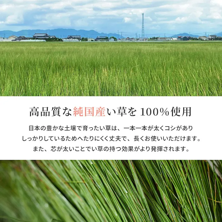 萩原 HAGIHARA 国産い草カーペット 清涼 本間4.5畳286×286ブルー 81965445【別送品】