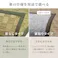 萩原 HAGIHARA 裏付き 市松柄 い草カーペット 若月 本間6畳286×382ブラウン 81949960 4955872813684【別送品】