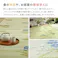 HAGIHARA 洗えるい草風カーペット #110 本間2畳 4955872745930 15242820【別送品】