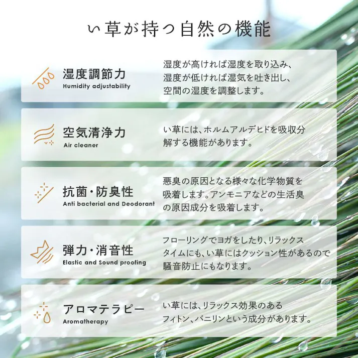 HAGIHARA 国産い草カーペット せとのと 倉ノ戸 本間3畳 ブルー 4955872943473 81966530【別送品】