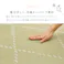 洗えるい草風カーペット モンド 江戸間6帖 グリーン 水洗いOK 和モダン 耐久性 HAGIHARA 81968760【別送品】
