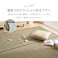 い草カーペット 裏貼り 涼み 江戸間6帖 ブラウン 消臭 調湿 抗菌 HAGIHARA 81970960【別送品】