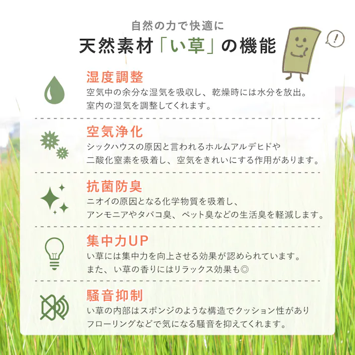 い草カーペット 裏貼り 涼み 江戸間8帖 ブラウン 消臭 調湿 抗菌 HAGIHARA 81970980【別送品】