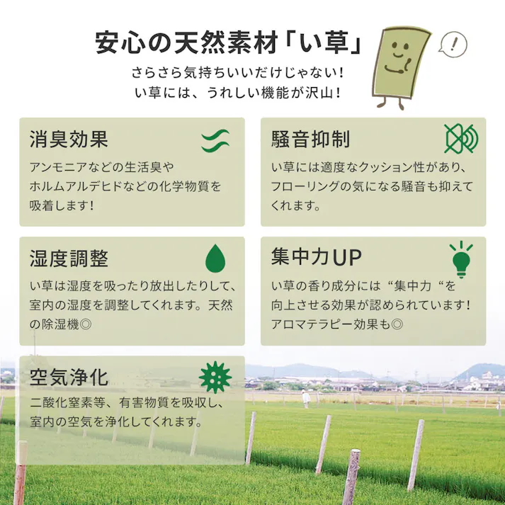 補修テープ付き フリーカット 裏貼りい草カーペット みすず 団地間6帖 防カビ 撥水 カット可 HAGIHARA 159069360【別送品】