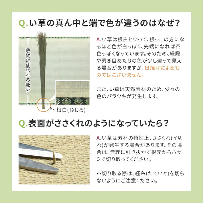 補修テープ付き フリーカット 裏貼りい草カーペット みすず 団地間10帖 防カビ 撥水 カット可 HAGIHARA 159069390【別送品】