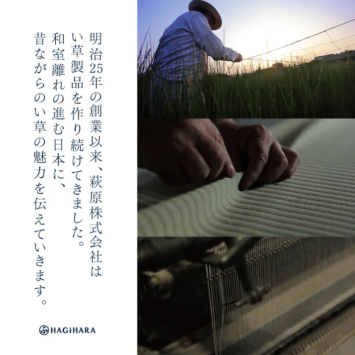 置き畳 凛 約82×82×2.5cm ブラック 滑り止め カット可 消臭調湿 HAGIHARA 160901403【別送品】