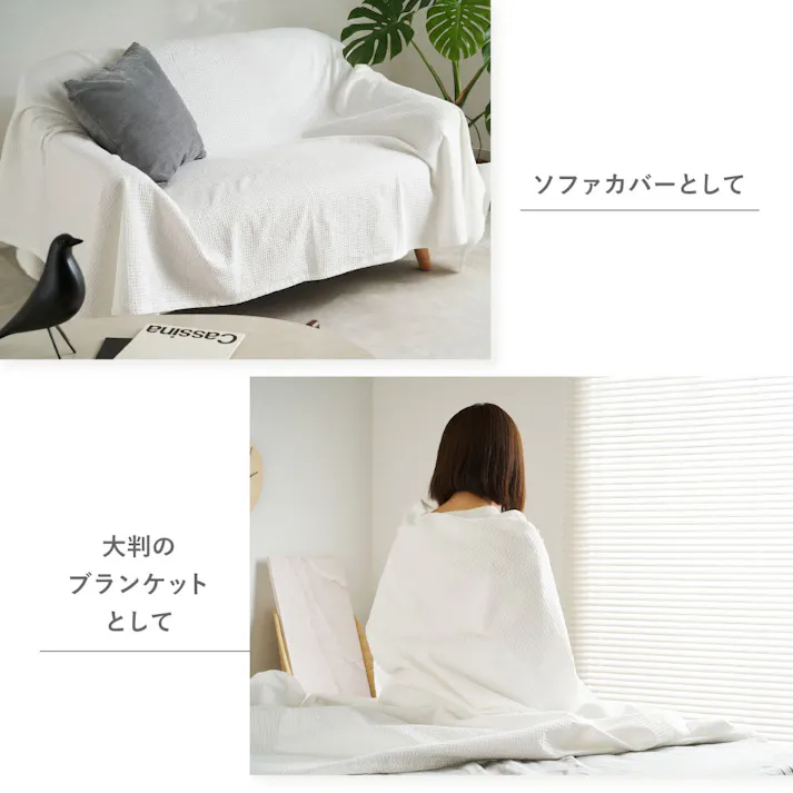 スローケット ソリッド 約180×200cm ネイビー コットン オールシーズン うす掛け HAGIHARA 270104911【別送品】