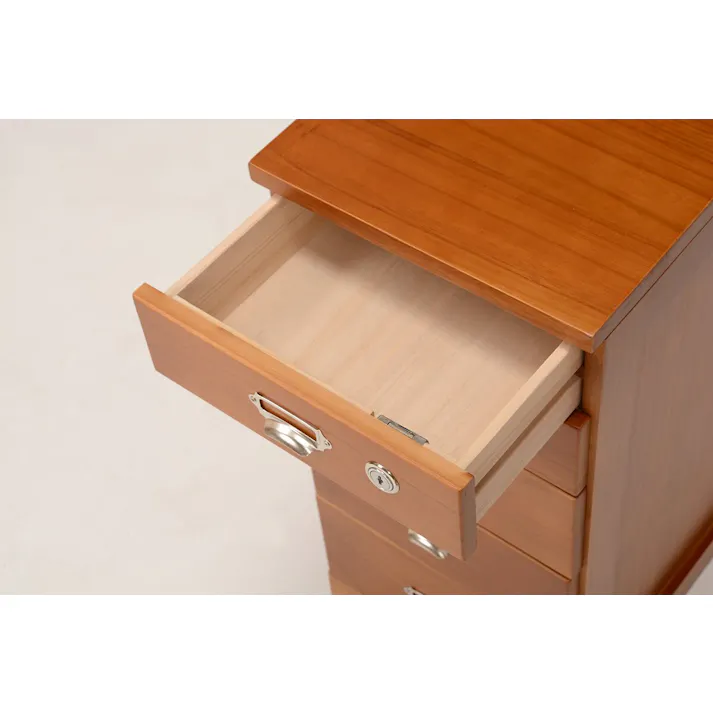 萩原スリーアイ HAGIHARA チェスト MCH-6580 A4サイズ収納 5段 4934257239097【別送品】