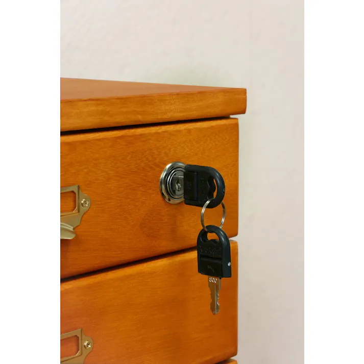 萩原スリーアイ HAGIHARA チェスト MCH-6580 A4サイズ収納 5段 4934257239097【別送品】