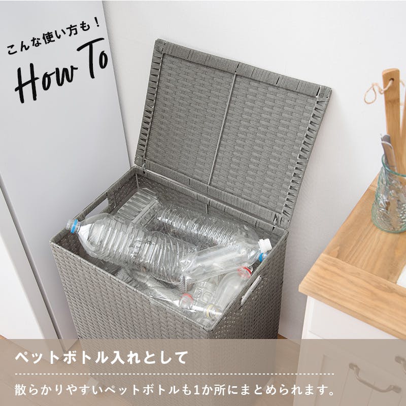 萩原スリーアイ HAGIHARA キャスター付収納ボックス RUD-2422DBR