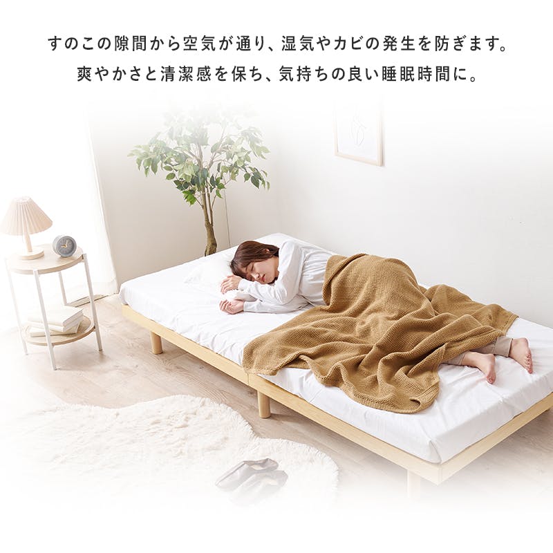 ❗️めだか(*^^*)売り切り希望様専用❗️ ヘッドスパ
