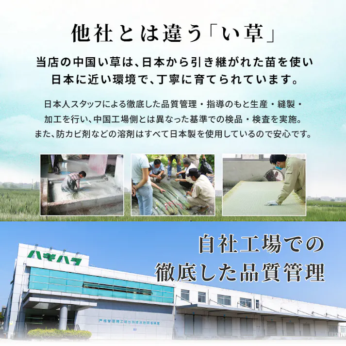 畳付き収納スツール RUD-1148NA ナチュラル インテリア 家具 収納 収納家具 収納ベンチ 3000003303【別送品】