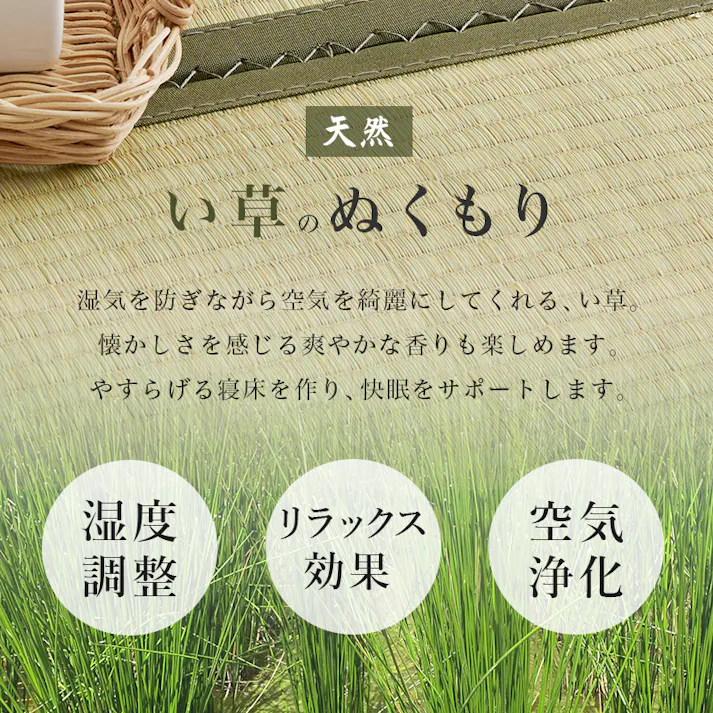 組立簡単 畳シングルベッド MB-5146S-LBRキフネ ライトブラウン インテリア 寝具 家具 収納 ベッド 畳ベッド 3000004301【別送品】