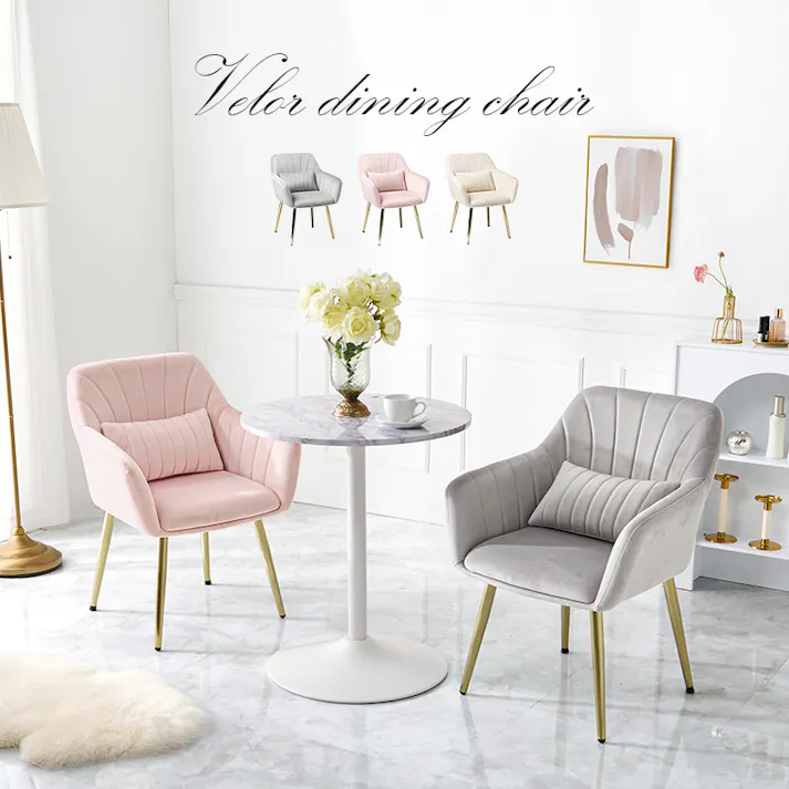 チェア LC-4769IV 1脚のみ アイボリー インテリア 家具 収納 イス チェア ダイニングチェア 3000004714【別送品】