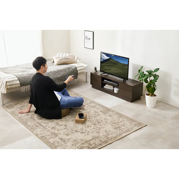 テレビ台 ダークブラウン テレビスタンド ローボード テレビラック HAGIHARA 4934257349352【別送品】