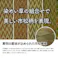 い草花ござ ラグ カーペット ピーア 江戸間6畳 BL 261X352 大判 滑り止め 洗える国産【別送品】