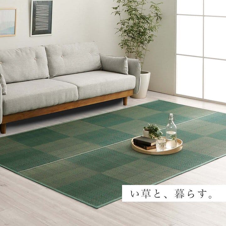 【未使用品】ラグ　カーペット　ござ イケヒコ PPラグ カーペット ござ 洗える 六花 江戸間 1畳 87×174cm