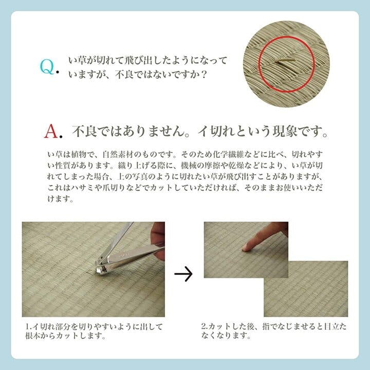 い草花ござ ラグ カーペット ルネ 江戸間6畳 BL 261X352【別送品