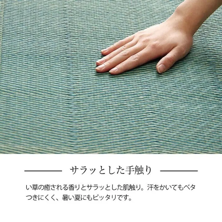 い草花ござ ラグ カーペット ルネ 江戸間8畳 BR 348X352【別送品】