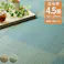 い草花ござ ラグ カーペット ルネ 団地間4.5畳 BR 255X255【別送品】