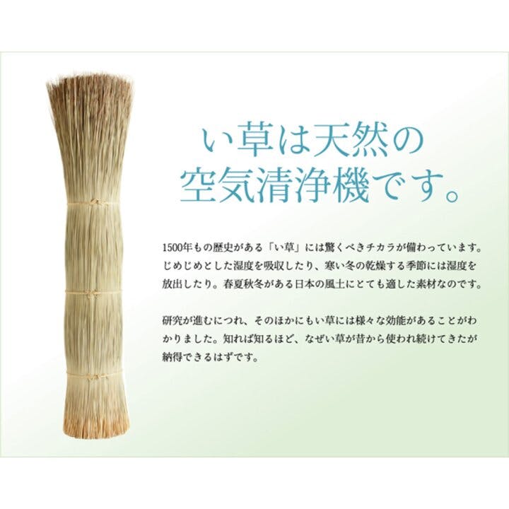 IKEHIKO い草花ござ ラグ カーペット 嵐山 本間2畳 191X191 IKEHIKO い草花ござ ラグ カーペット 嵐山 本間2畳 191X191