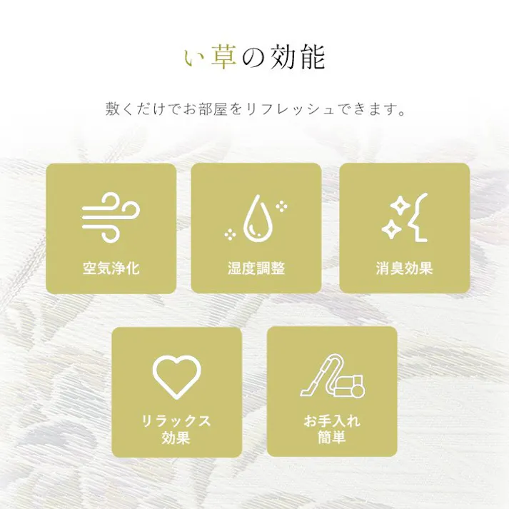 い草花ござ 裏張り ラグ カーペット DXエクセレント 江戸間4.5畳 261X261【別送品】