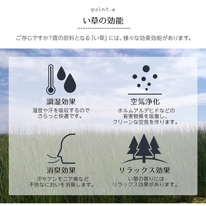 い草花ござ 裏張り ラグ カーペット DXセレナ 江戸間2畳 RE 174X174【別送品】