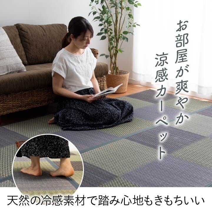 い草花ござ 裏張り ラグ カーペット DXピーア 本間6畳 BR 286X382