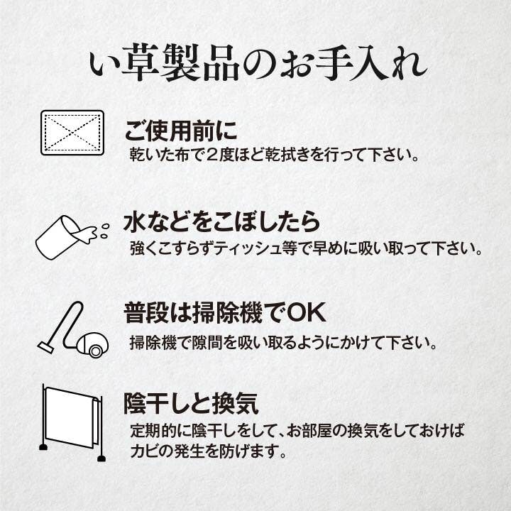 い草花ござ 裏張り ラグ カーペット DXピーア 本間6畳 BR 286X382