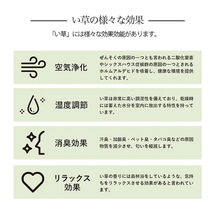 い草花ござ 裏張り ラグ カーペット NDXルネ 江戸間4.5畳 BR 261X261【別送品】