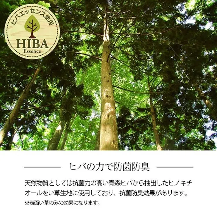 い草花ござ 裏張り ラグ カーペット NDXルネ 江戸間4.5畳 BR 261X261【別送品】