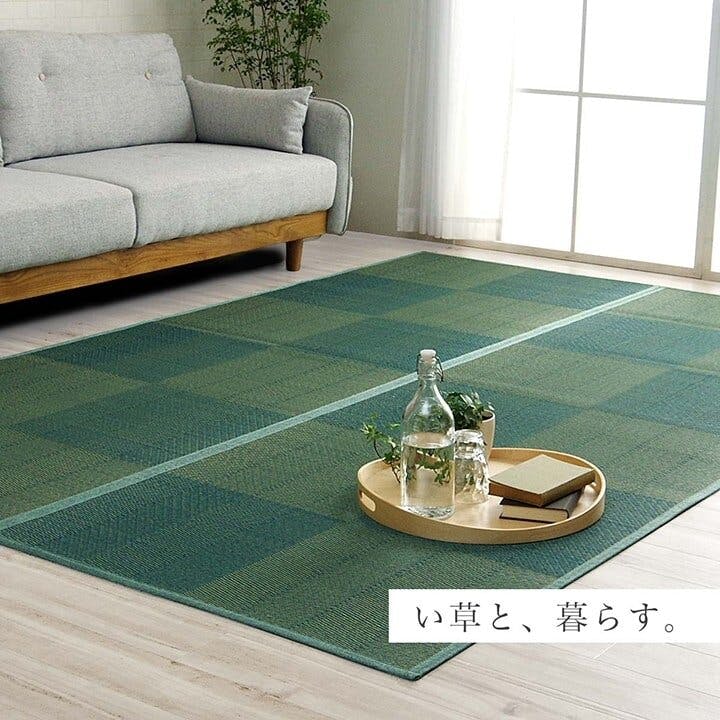 い草花ござ 裏張り ラグ カーペット NDXルネ 江戸間6畳 BL 261X352