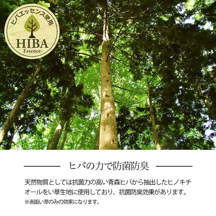 い草花ござ 裏張り ラグ カーペット NDXルネ 江戸間8畳 BR 348X352【別送品】