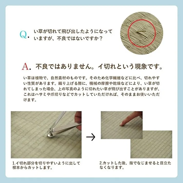 い草花ござ 裏張り ラグ カーペット NDXルネ 本間3畳 BL 191X286【別送品】