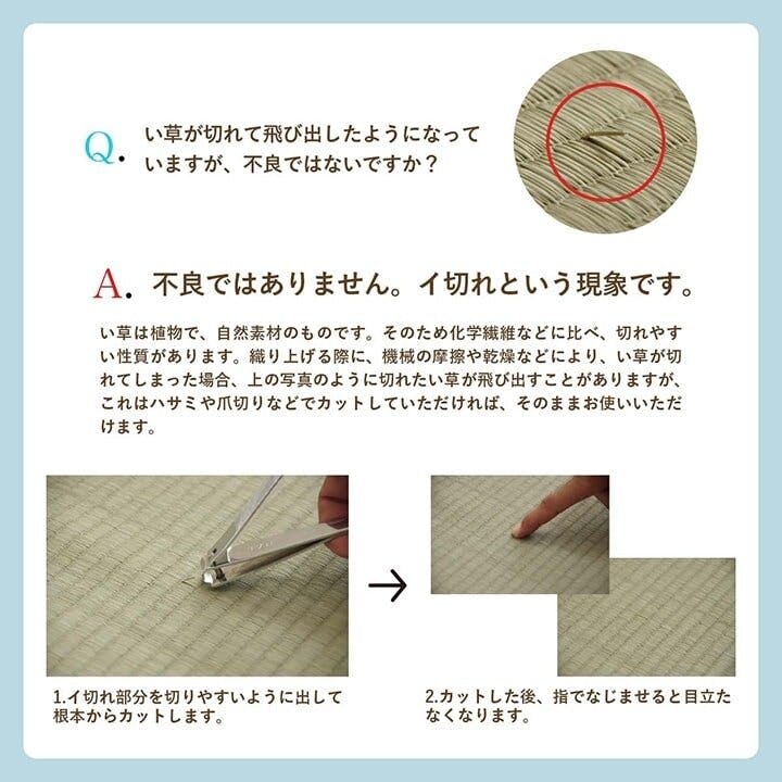 い草花ござ 裏張り ラグ カーペット NDXルネ 本間6畳 BL 286X382【別送