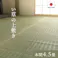 国産い草花ござ ラグ カーペット グラッセ 本間4.5畳 286.5X286【別送品】