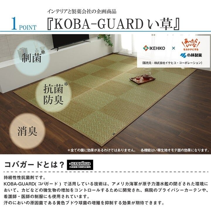 IKEHIKO 国産い草花ござ ラグ カーペット ラウム 江戸間6畳 GY